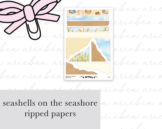 Seashells On The Seashore Ripped Papers