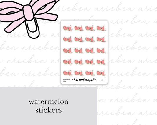 Watermelon Planner Stickers