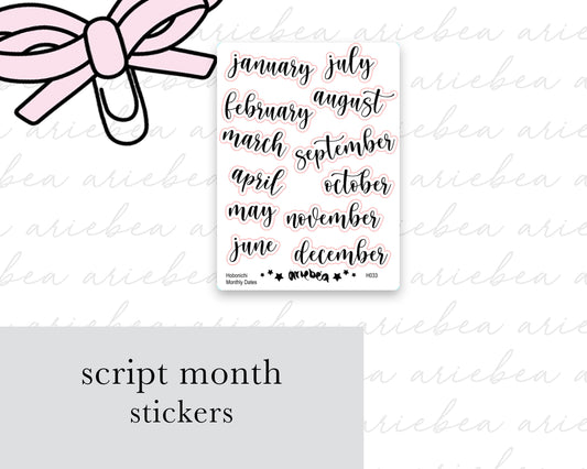 Hobonichi Functional Monthly Date Planner Stickers