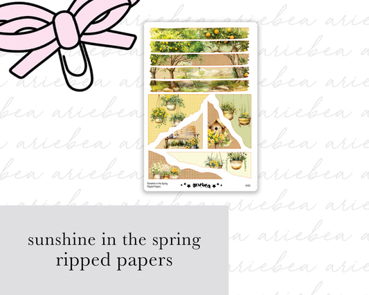 Sunshine in the Spring Ripped Papers