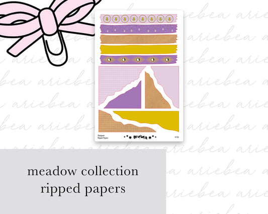 Stargazer Collection Ripped Papers
