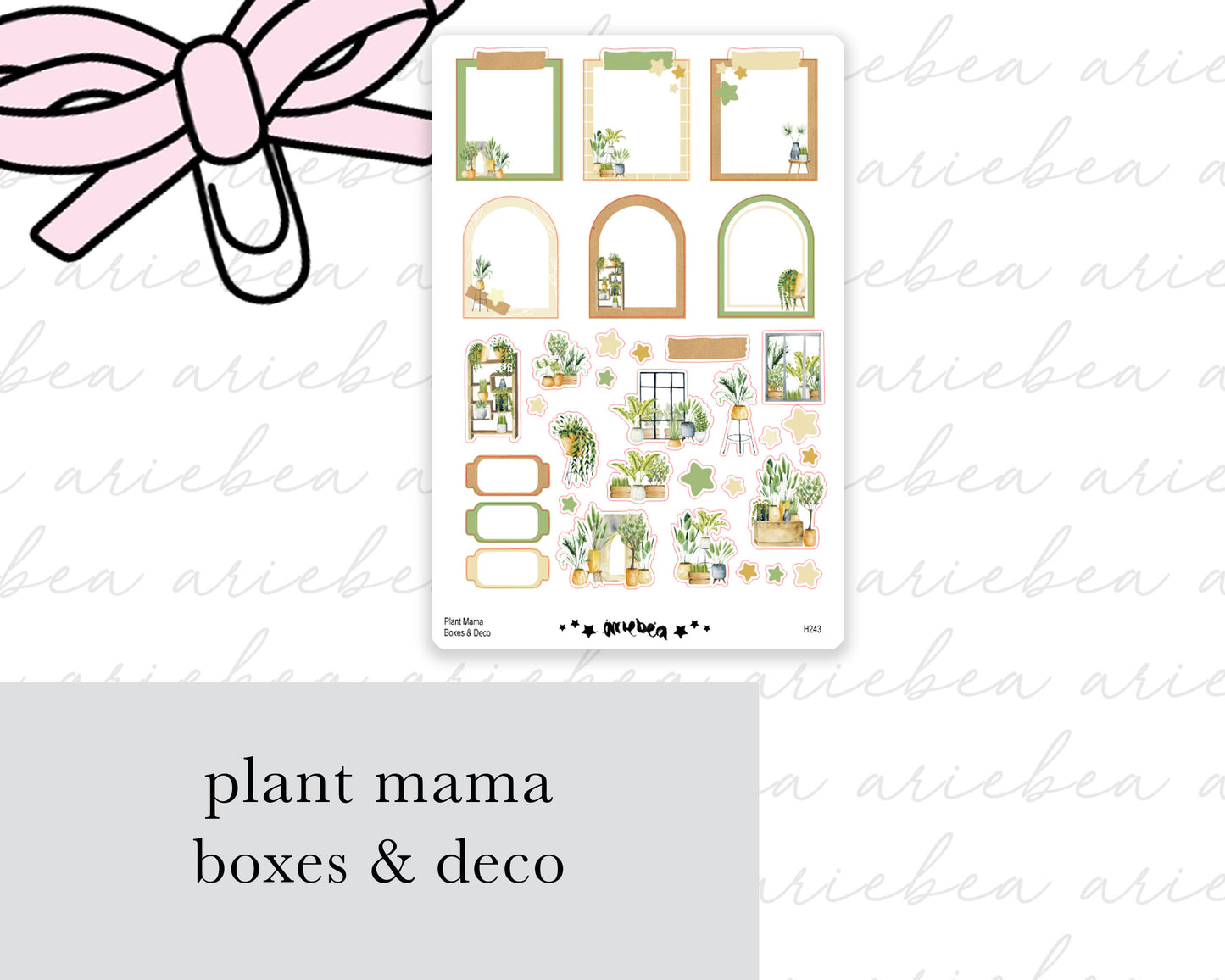 Plant Mama Boxes & Deco