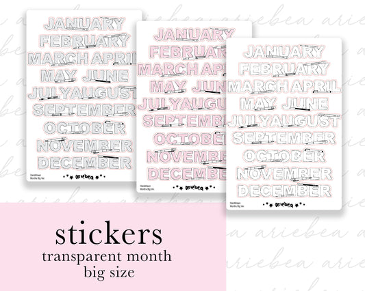 TRANSPARENT Handdrawn Fountain Pen Monthly BIG Planner Stickers